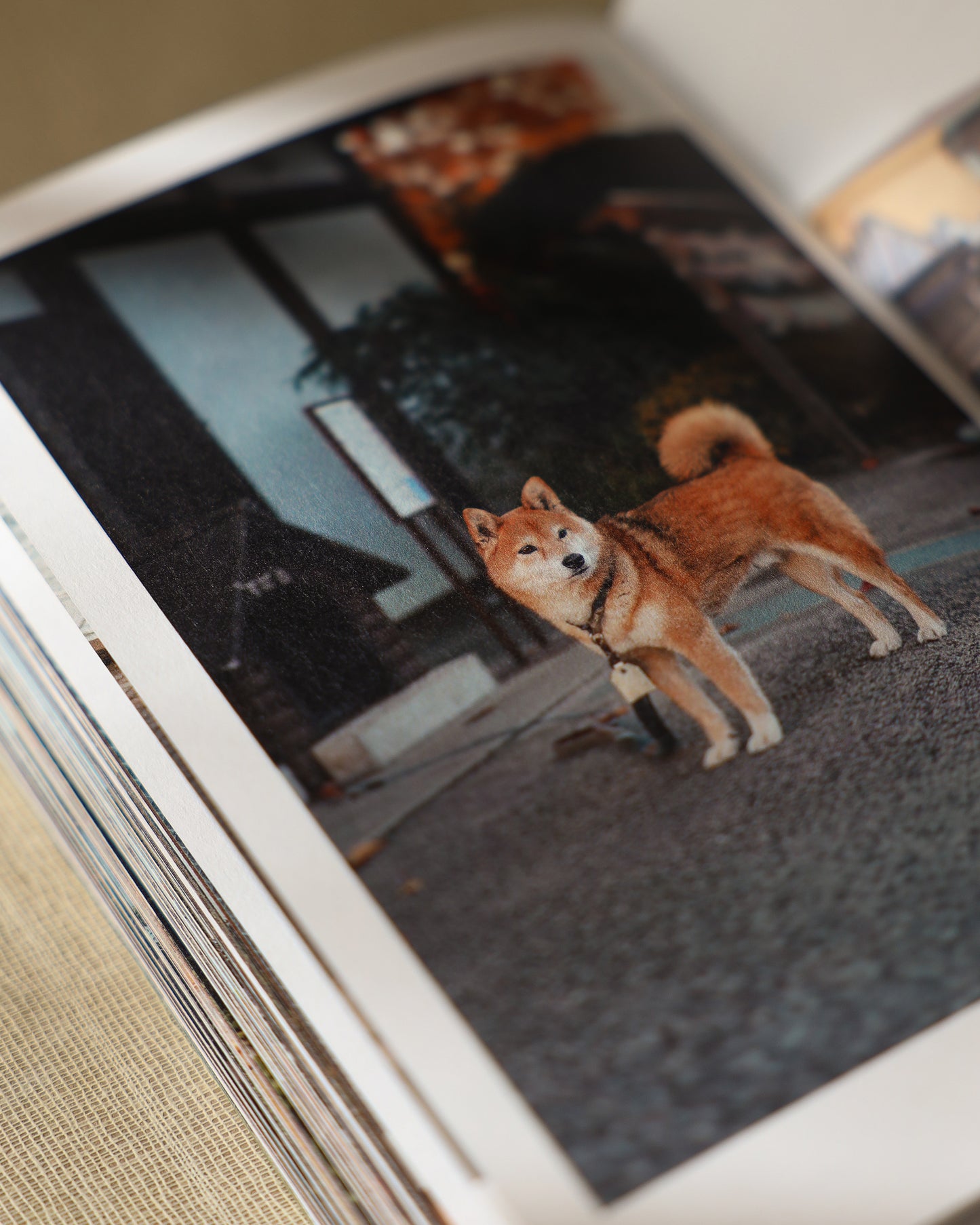 Koi No Yokan - A Guide to Japan (2nd Edition)